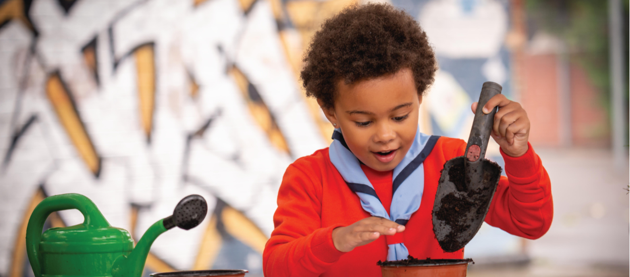 Squirrels Banner Image