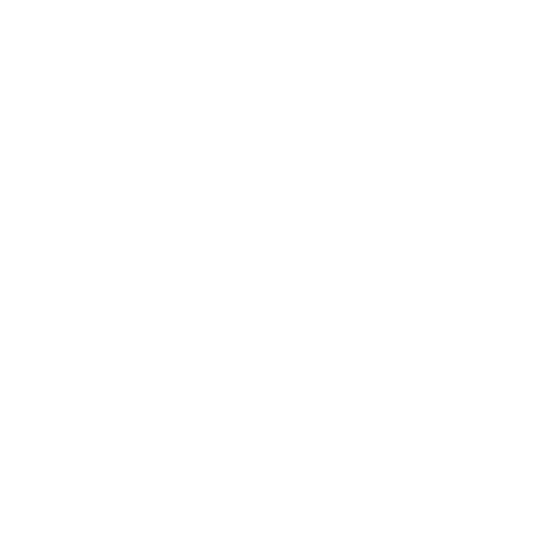 Network Logo